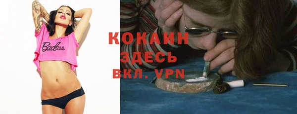 гашик Аркадак