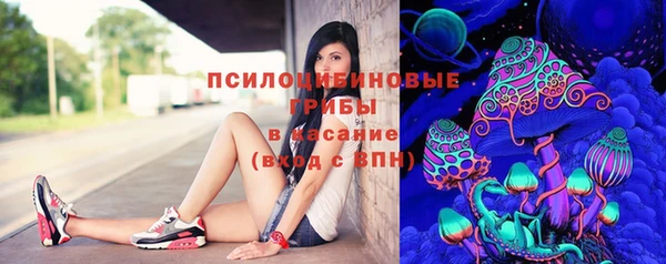 гашик Аркадак
